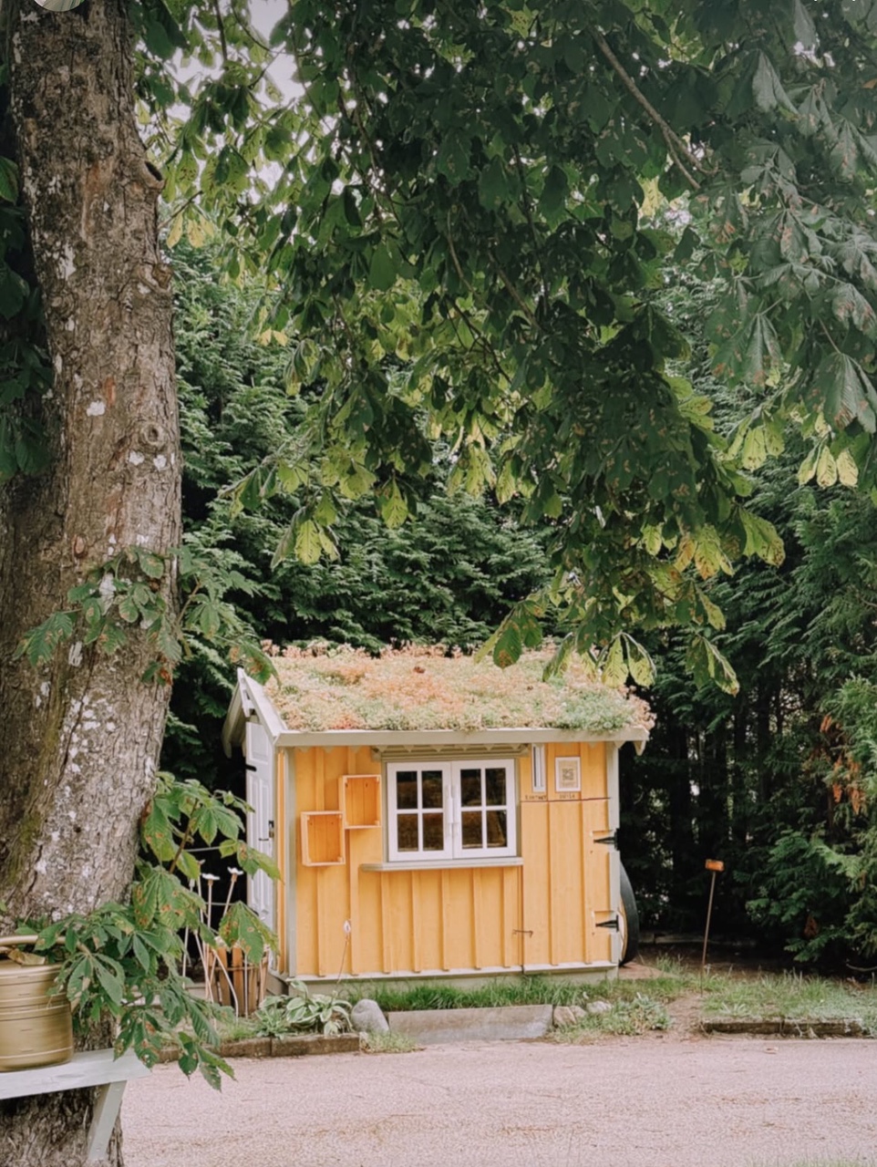 Klicka på huset för att komma till Folkets Bröd!